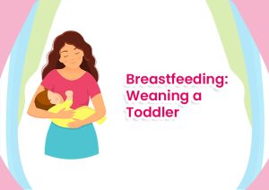 Breastfeeding: Weaning a Toddler
